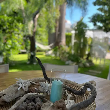 Tulum Garden Lux Vila Torre Canne